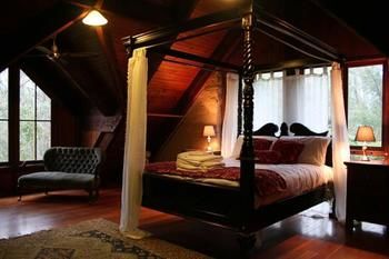 Steindorf Cottages - Accommodation Coffs Harbour 11