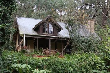 Steindorf Cottages - Accommodation Coffs Harbour 14