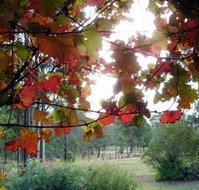 Elfin Hill Country Accommodation - Accommodation Coffs Harbour