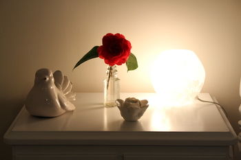 Merrow Cottages - Accommodation Coffs Harbour 37