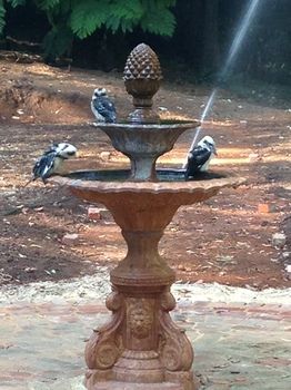 Merrow Cottages - Accommodation Coffs Harbour 54