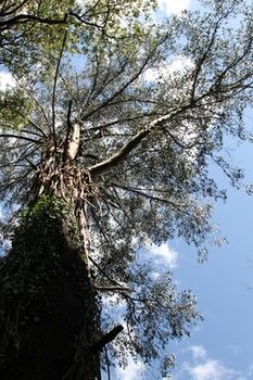 Merrow Cottages - Accommodation Coffs Harbour 57