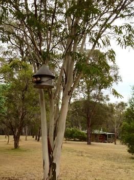 Buffs At Pokolbin - Accommodation Coffs Harbour 2