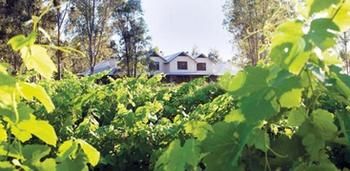 Spicers Vineyards Estate - Accommodation Coffs Harbour 3