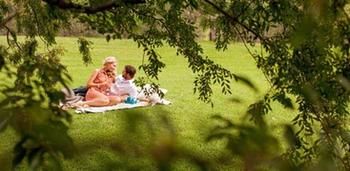Spicers Vineyards Estate - Accommodation Coffs Harbour 4