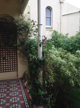 Verona Guest House - Accommodation Coffs Harbour 7