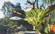 Bondi Beach House - thumb 13