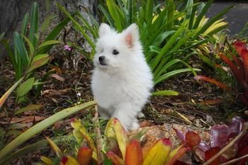 Mapleton Cabins & Caravan Park - Accommodation Coffs Harbour 8