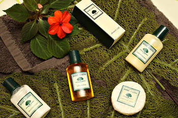 Mapleton Cabins & Caravan Park - Accommodation Coffs Harbour 31