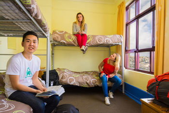 Bondi Backpackers - Accommodation Coffs Harbour 8