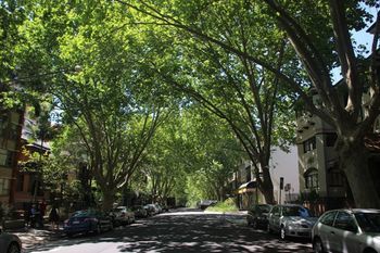 Original Backpackers - Accommodation Coffs Harbour 11