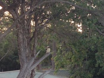 Huskisson Beach Bed And Breakfast - Accommodation Coffs Harbour 7