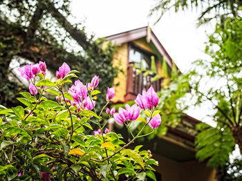 The Regents Park - Accommodation Coffs Harbour 3