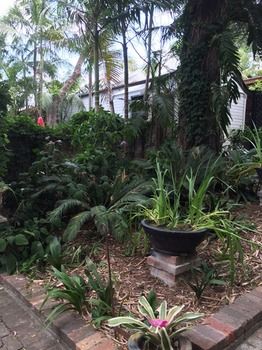 The Regents Park - Accommodation Coffs Harbour 55