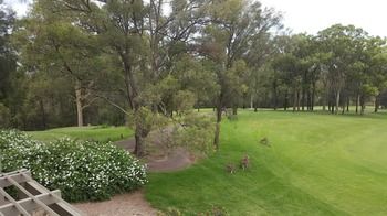 Villa Christian At Cypress Lakes Resort - Accommodation Coffs Harbour 25