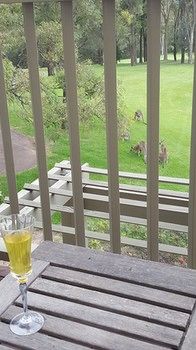 Villa Christian At Cypress Lakes Resort - Accommodation Coffs Harbour 31