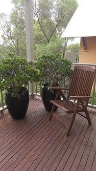 Villa Christian At Cypress Lakes Resort - Accommodation Coffs Harbour 32
