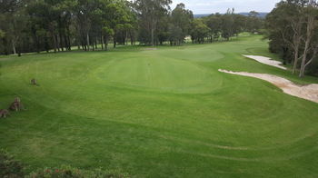 Villa Christian At Cypress Lakes Resort - Accommodation Coffs Harbour 33
