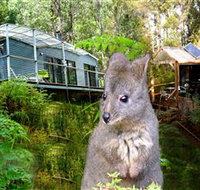Huon Bush Retreats - Accommodation Coffs Harbour