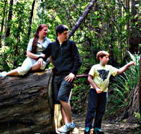 Tahune Airwalk Lodge - Accommodation Coffs Harbour