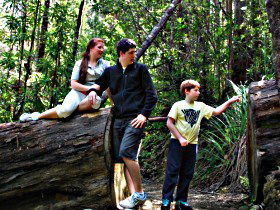 Tahune Airwalk Lodge - Accommodation Coffs Harbour 0