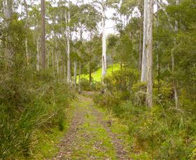 Huon Valley Eco Wilderness Retreat - Accommodation Coffs Harbour 5