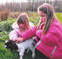 Huon Valley Caravan Park - Accommodation Coffs Harbour