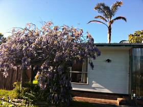 North East Apartments - Accommodation Coffs Harbour 1