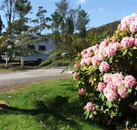 Zeehan Bush Camp  and Caravan Park - Accommodation Coffs Harbour