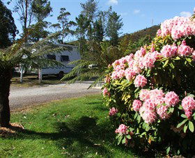 Zeehan Bush Camp  And Caravan Park - Accommodation Coffs Harbour 0