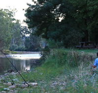 Gentle Annie Caravan and Camping Reserve - Accommodation Coffs Harbour
