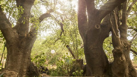 Trawool Cottages & Farmstay - Accommodation Coffs Harbour 5