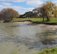 Kangaroo Lake Caravan Park - Accommodation Coffs Harbour