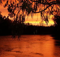 Cadell on the Murray Motel - Accommodation Coffs Harbour