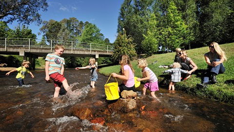NRMA Bright Holiday Park - Accommodation Coffs Harbour 3