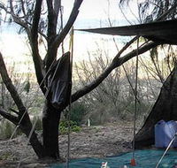 Main Beach Foreshore Camping Grounds - Accommodation Coffs Harbour
