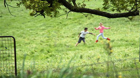 Tarndie - Accommodation Coffs Harbour 5