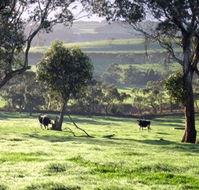 Bellevue Farmstay - Accommodation Coffs Harbour
