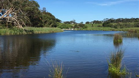 Curdievale Riverfront Lodge - Accommodation Coffs Harbour 4
