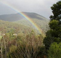 Wattletree Cottage - Accommodation Coffs Harbour