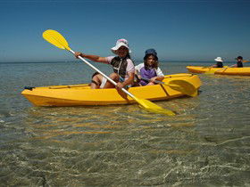 Ceduna Shelly Beach Caravan Park And Beachfront Villas - Accommodation Coffs Harbour 3