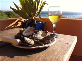 Ceduna Shelly Beach Caravan Park And Beachfront Villas - Accommodation Coffs Harbour 4