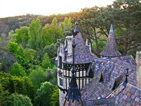 Thorngrove Manor Hotel - Accommodation Coffs Harbour 2