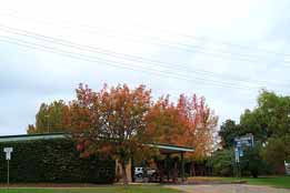 Allambie Motel Pty Ltd - Accommodation Coffs Harbour 0