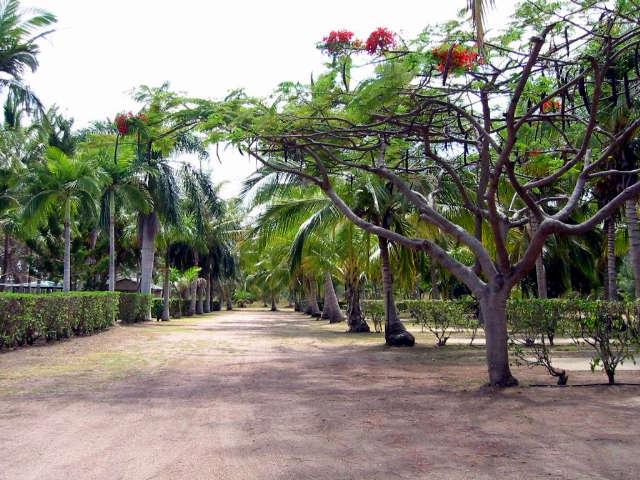 Alva QLD Accommodation Coffs Harbour