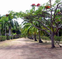 Alva Beach Tourist Park - Accommodation Coffs Harbour