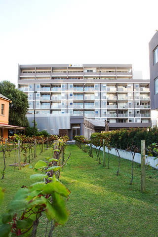 B7 Honeysuckle Apartments - Accommodation Coffs Harbour 1