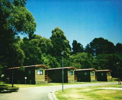 Blue Mountains Tourist Park - Katoomba Falls - Accommodation Coffs Harbour 0