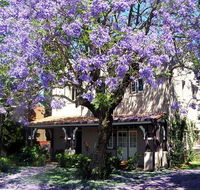 Callam Court - Accommodation Coffs Harbour