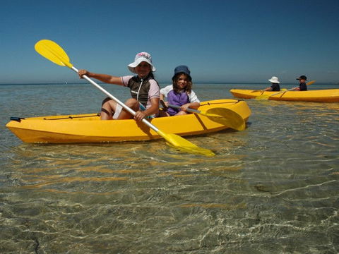 Ceduna Shelly Beach Caravan Park - Accommodation Coffs Harbour 4